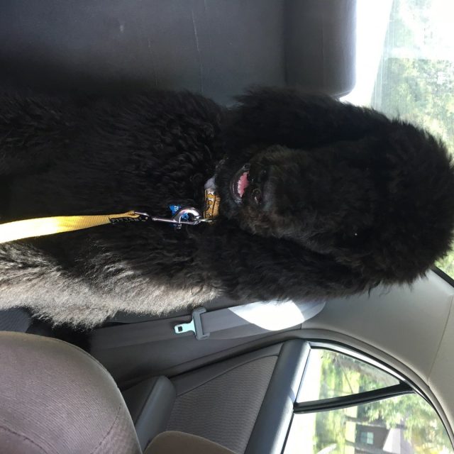 Let's Take A Ride!
