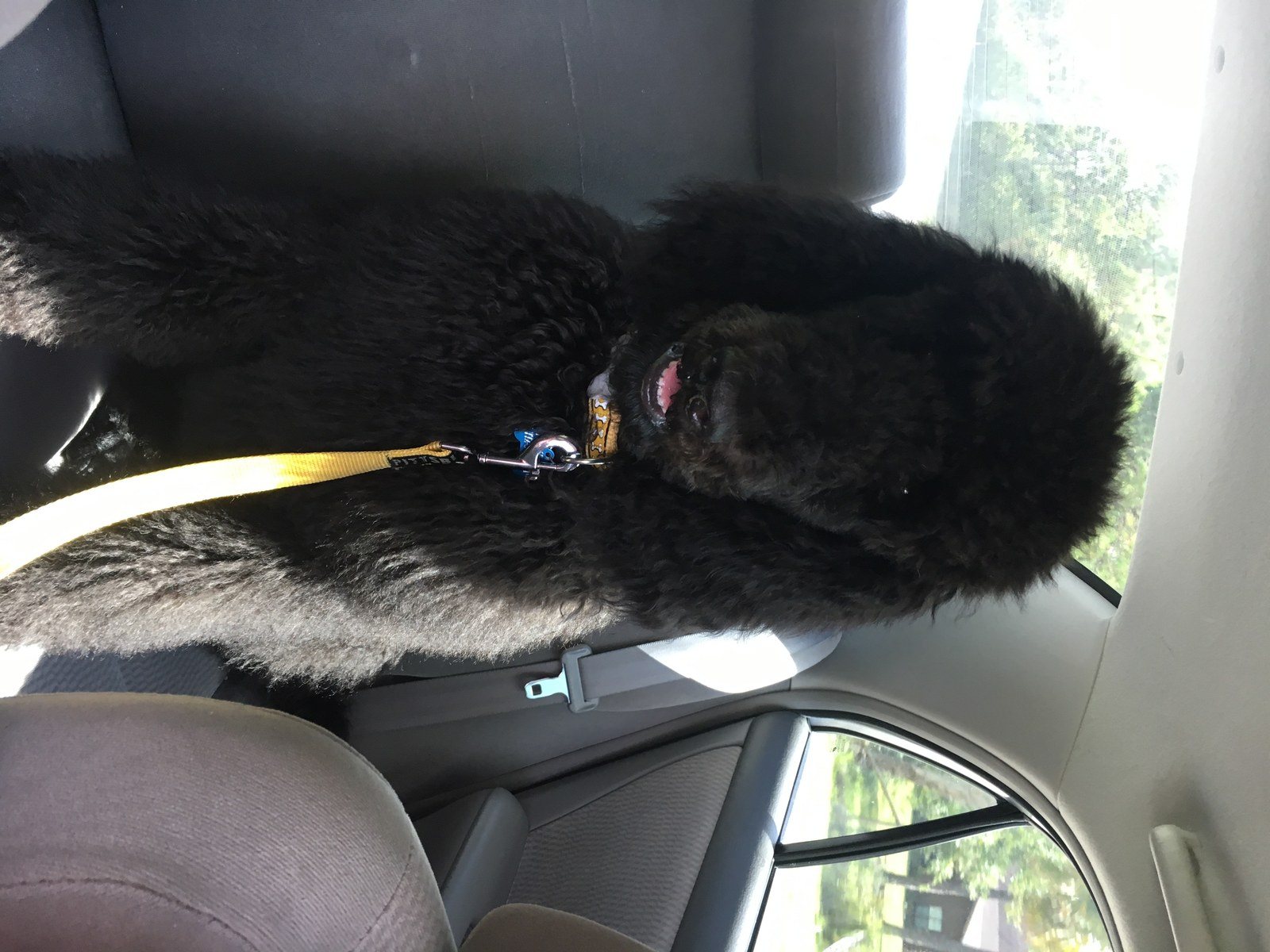 Let's Take A Ride!