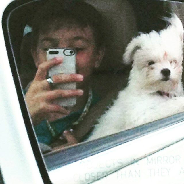 Did You Say Selfie? LOL