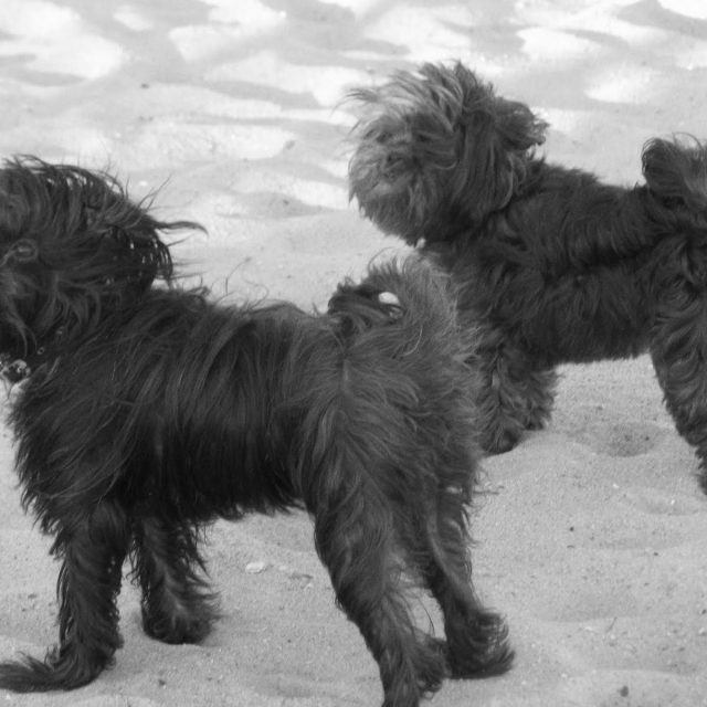 Just Another Day At The Beach!