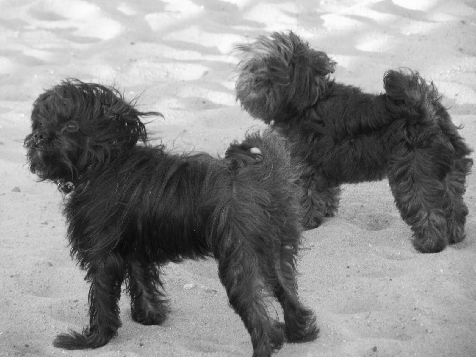 Just Another Day At The Beach!