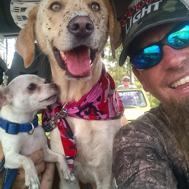 Sissy (yellow Lab) Loves Muddin'!