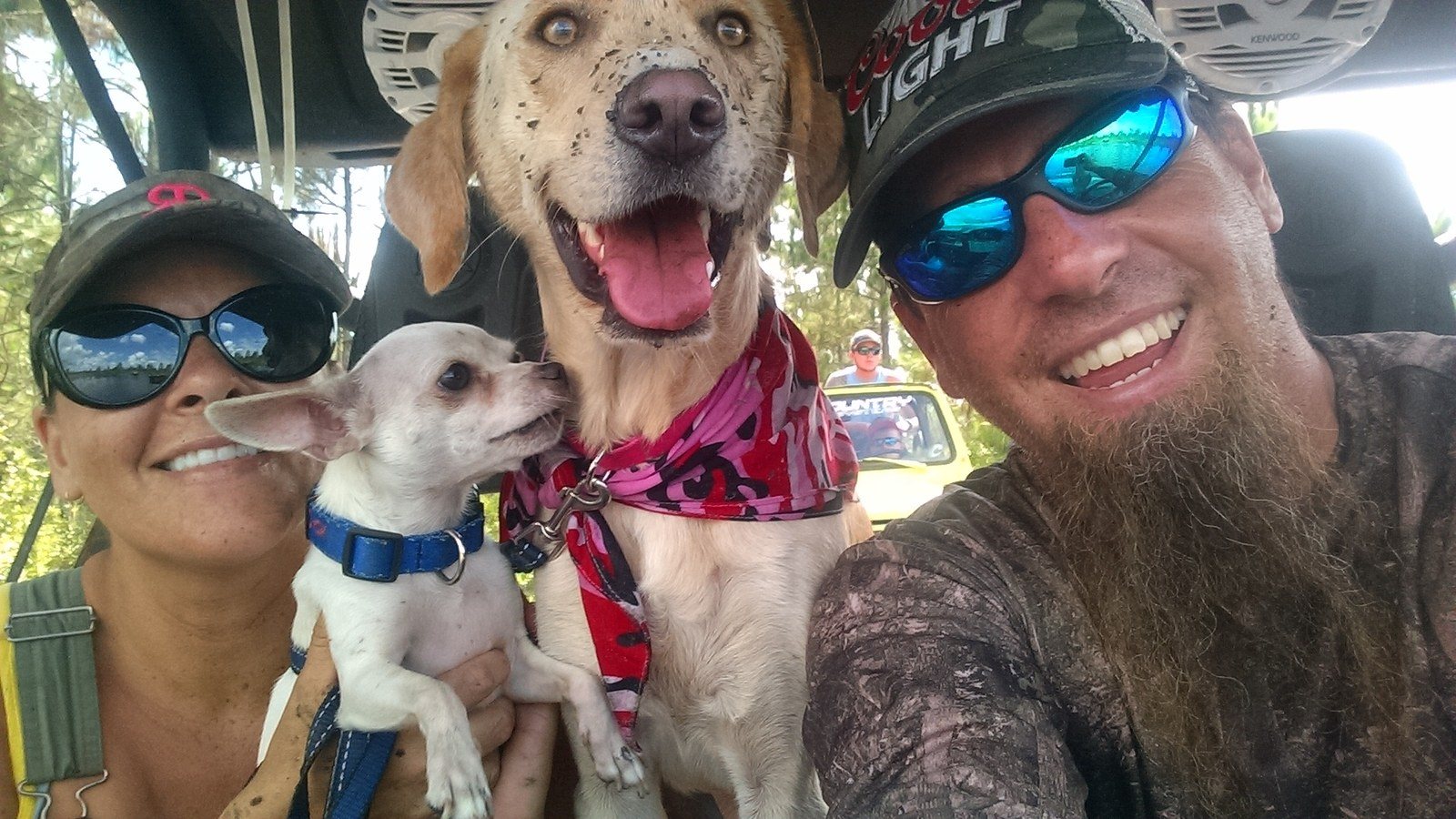 Sissy (yellow Lab) Loves Muddin'!