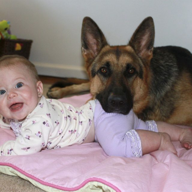 Shelby's photo