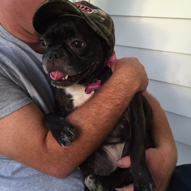 Stella