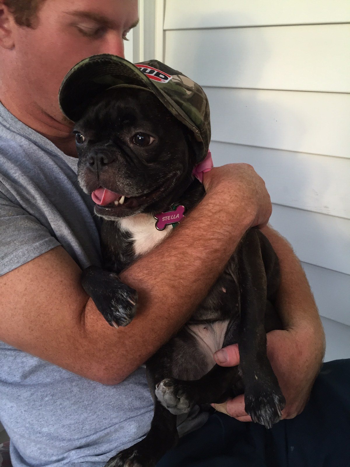 Stella