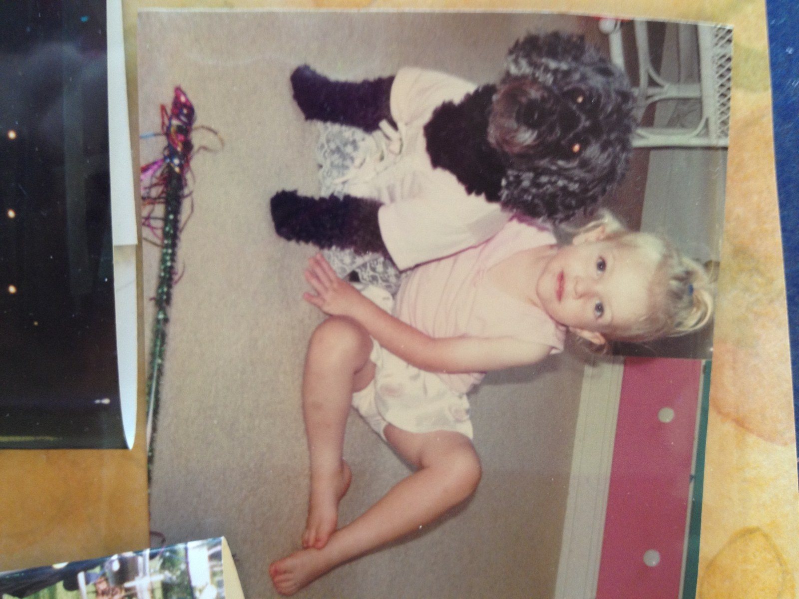 Doggie Ballerina