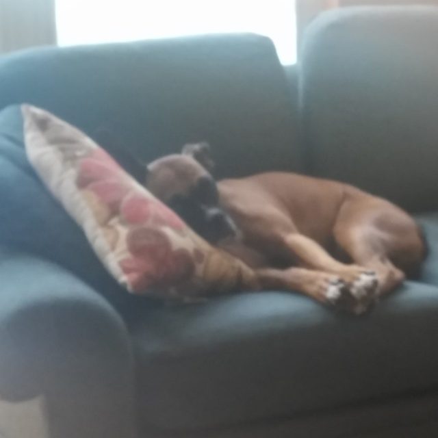 Tough Life