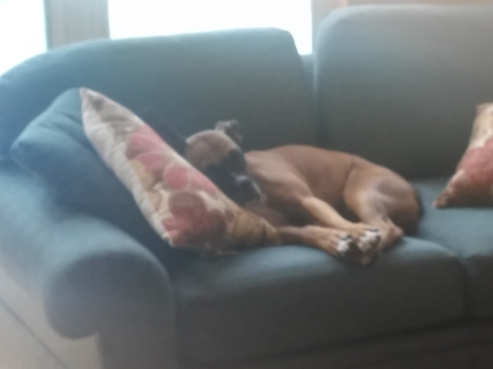 Tough Life