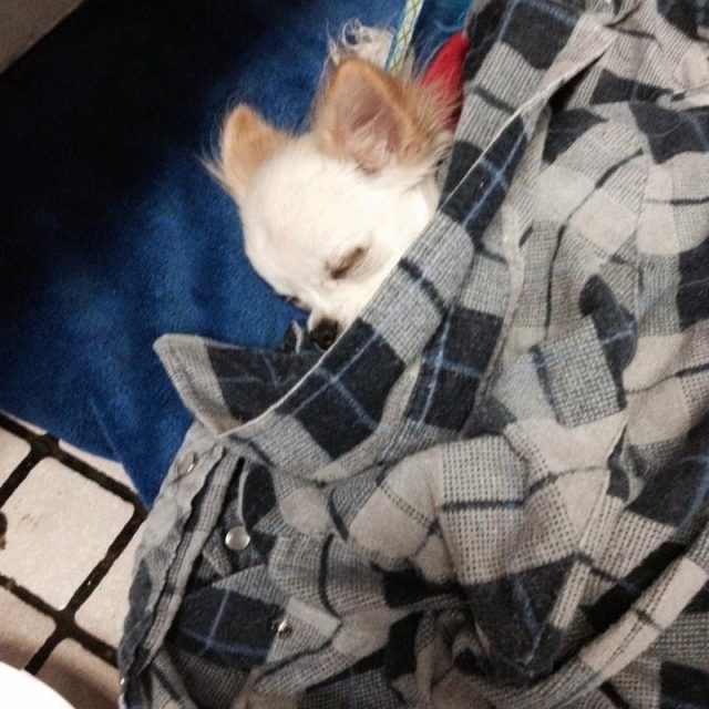 Napping At Mommies Work