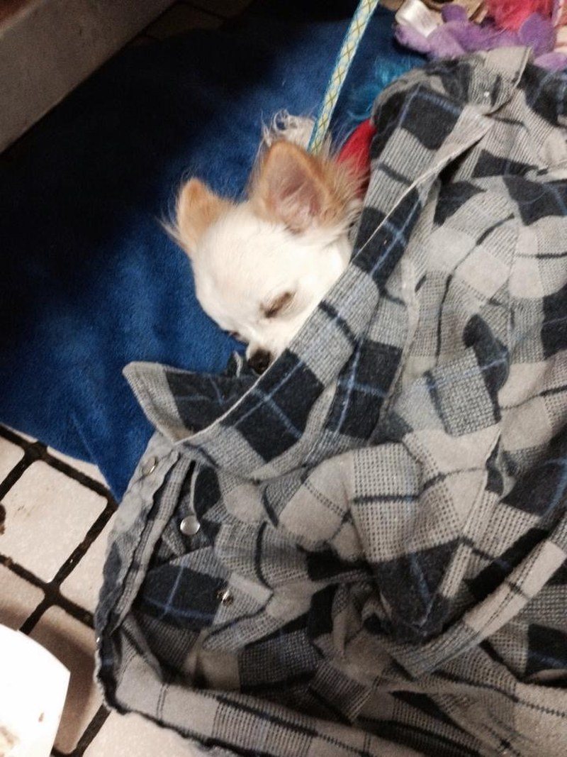 Napping At Mommies Work