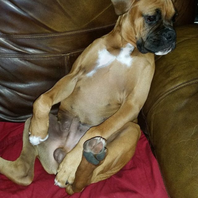 If Someone Would Pass The Remote!
