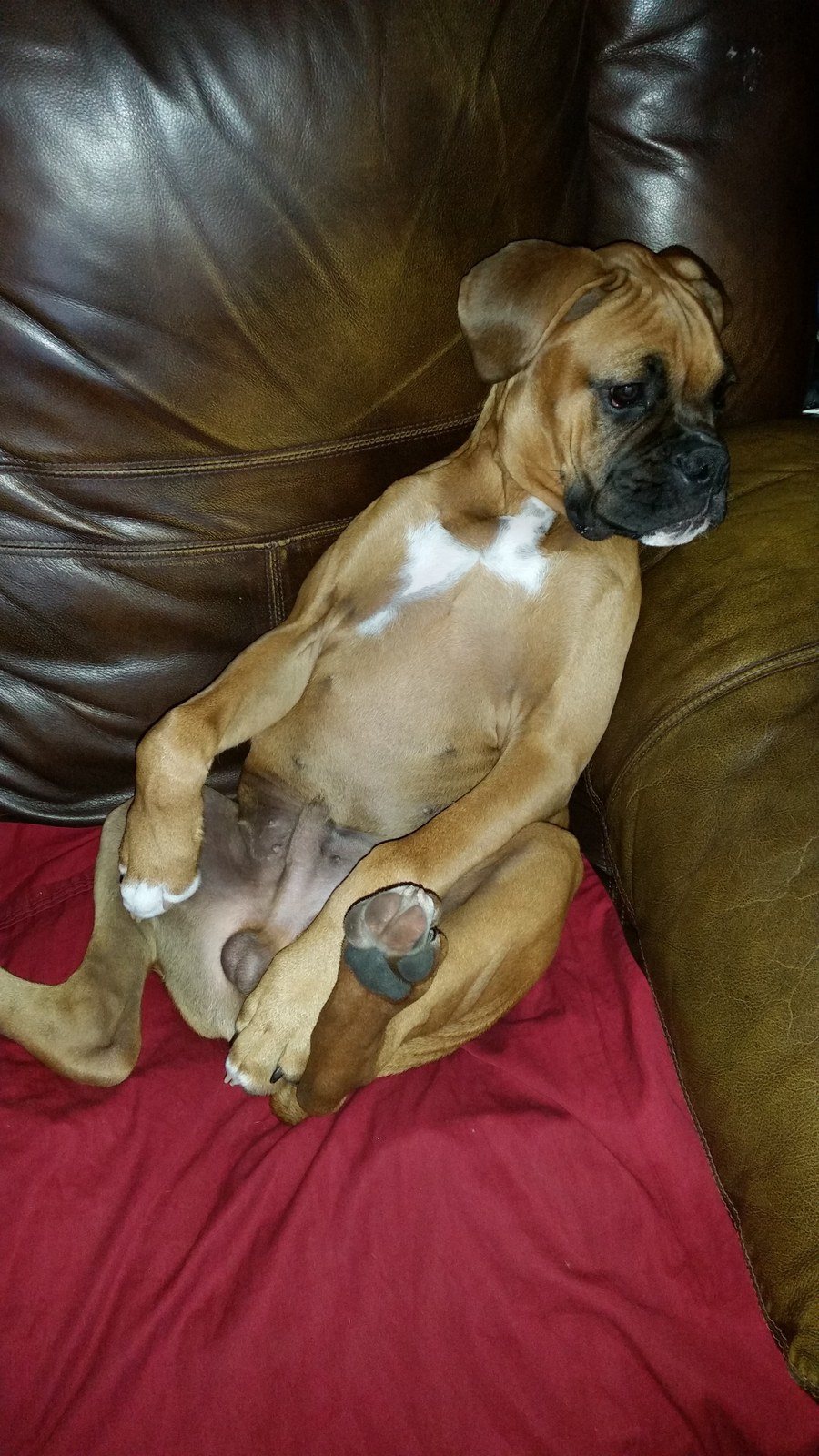 If Someone Would Pass The Remote!