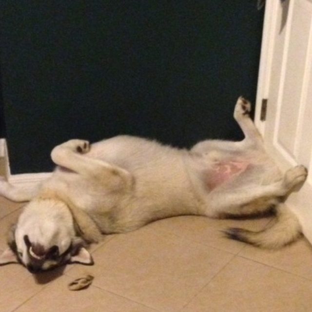 OOOH I Love To Sleep This Way!
