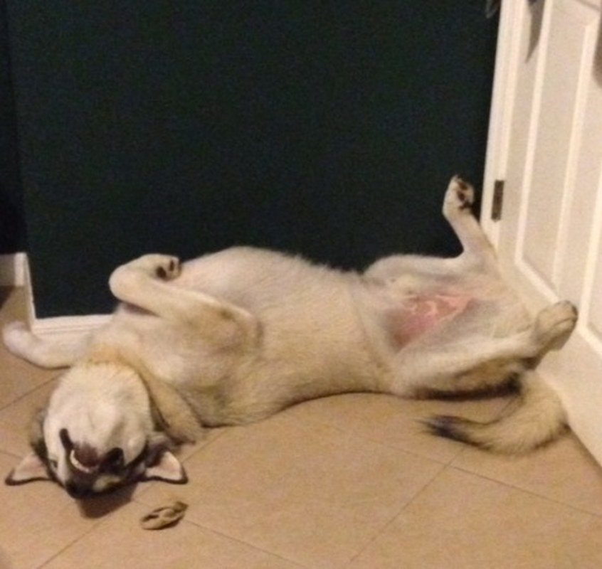 OOOH I Love To Sleep This Way!
