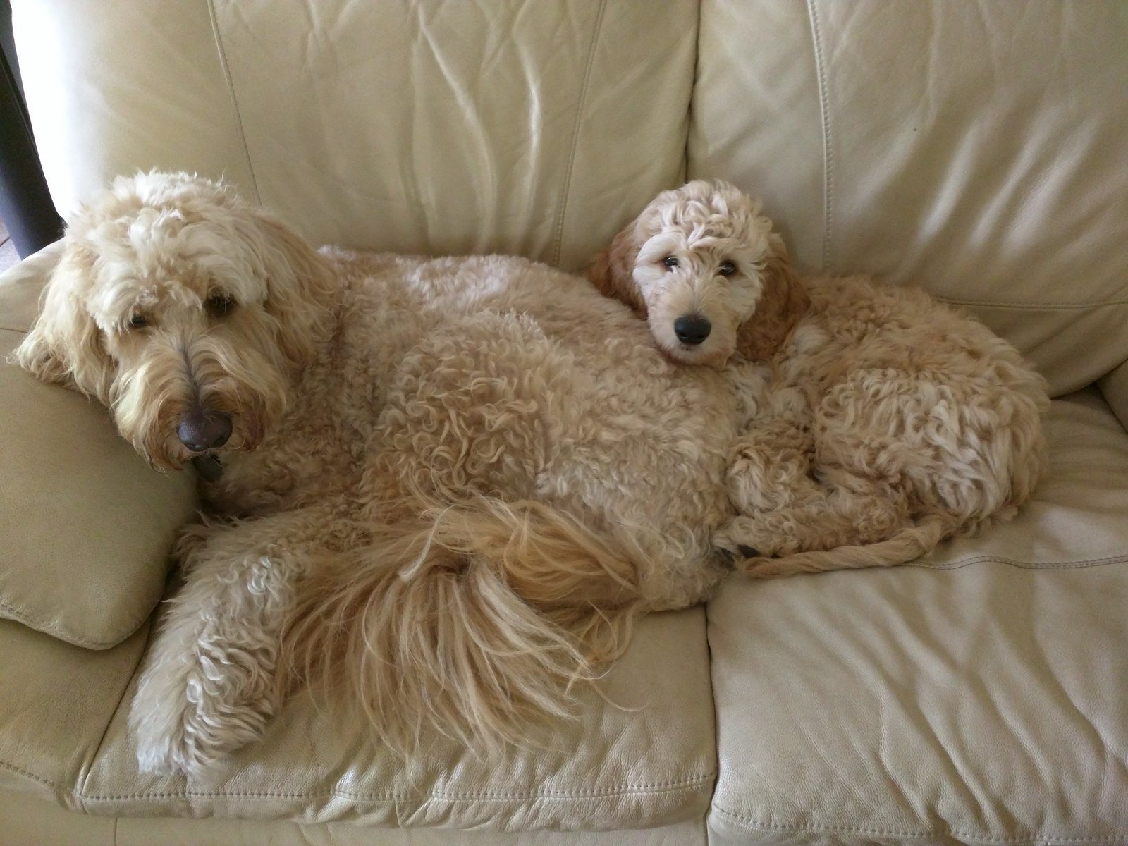 It's Me & Mini Me