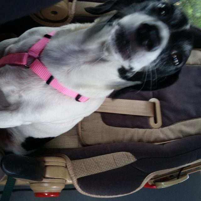 Are We There Yet?