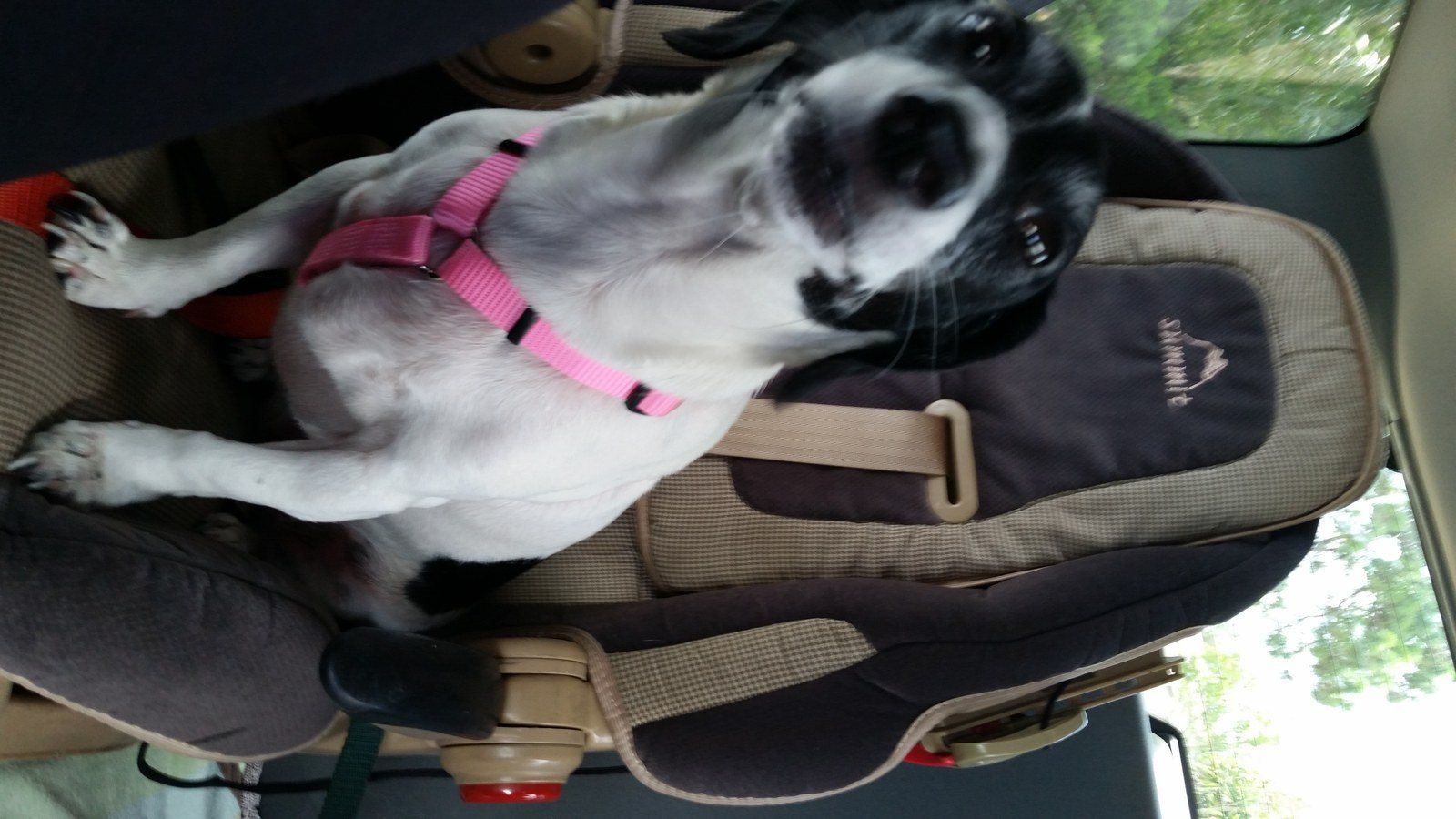 Are We There Yet?