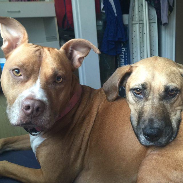 Bestfriends