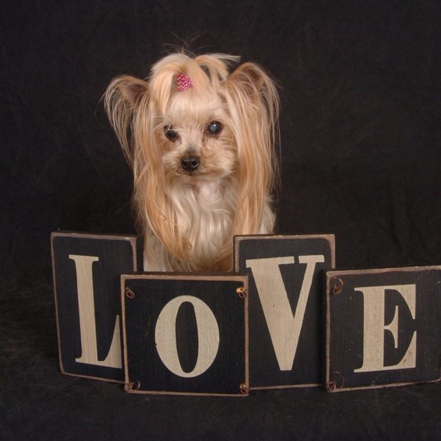 Love
