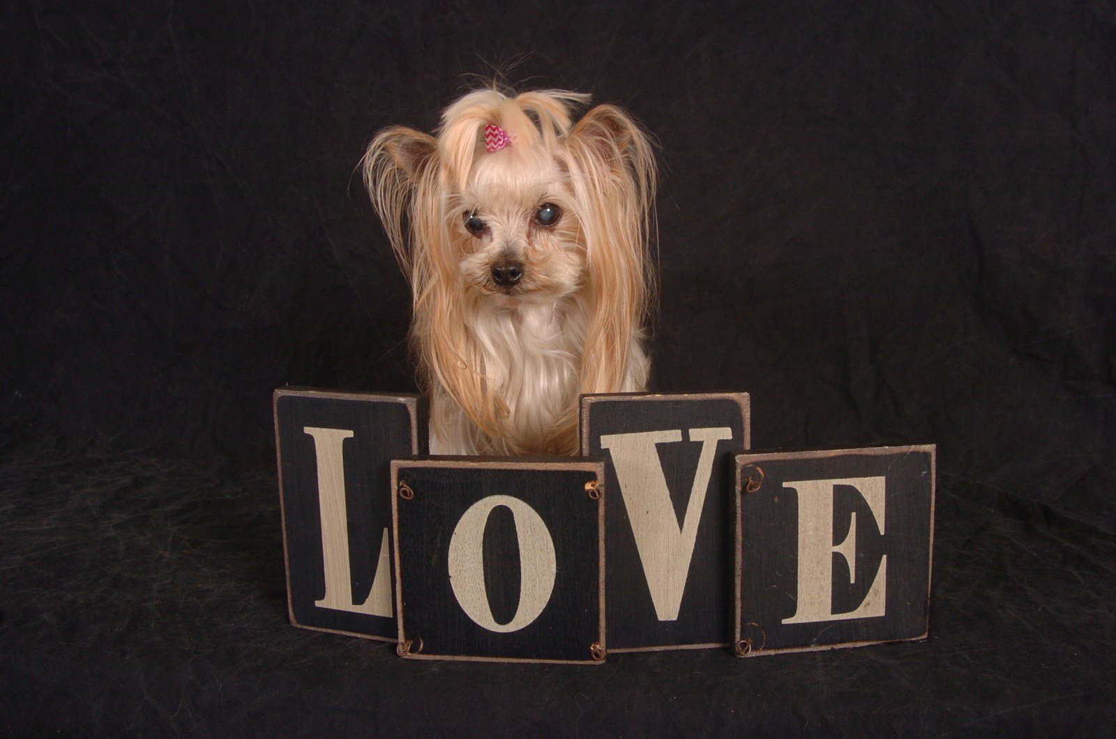 Love