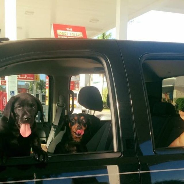 Bros Ridin