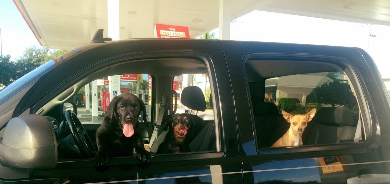 Bros Ridin