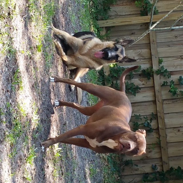 Coco And Oliver