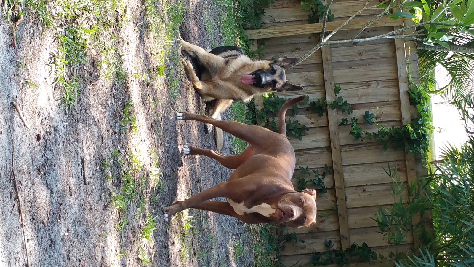 Coco And Oliver