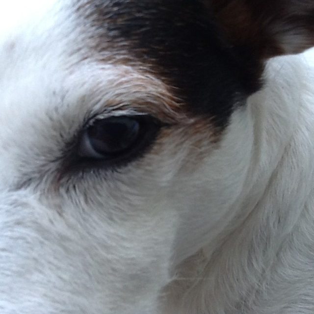I've Got My Eye On You !!