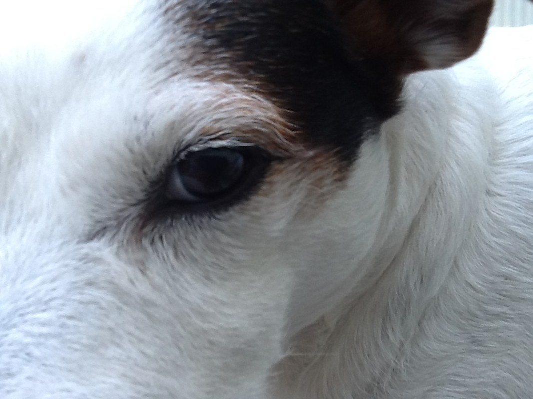 I've Got My Eye On You !!