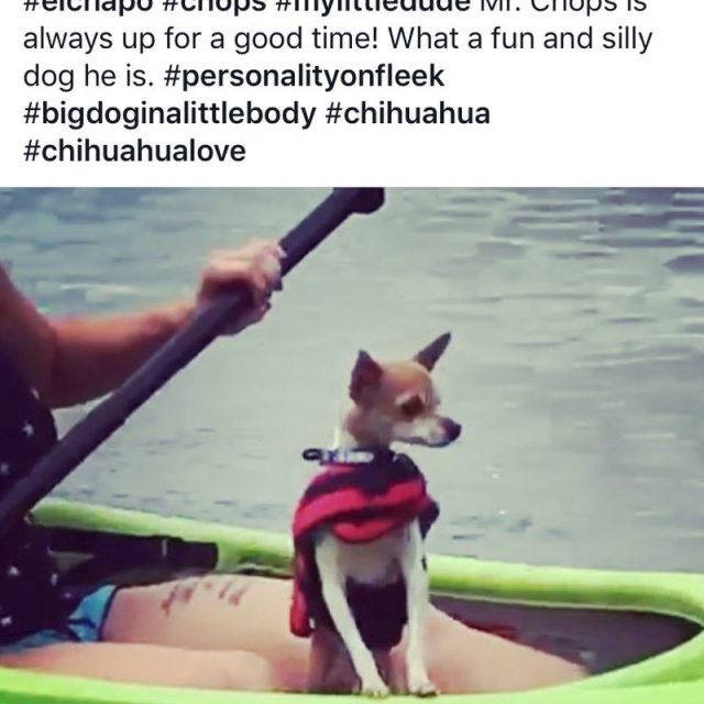 My Grand Puppy ⛵️