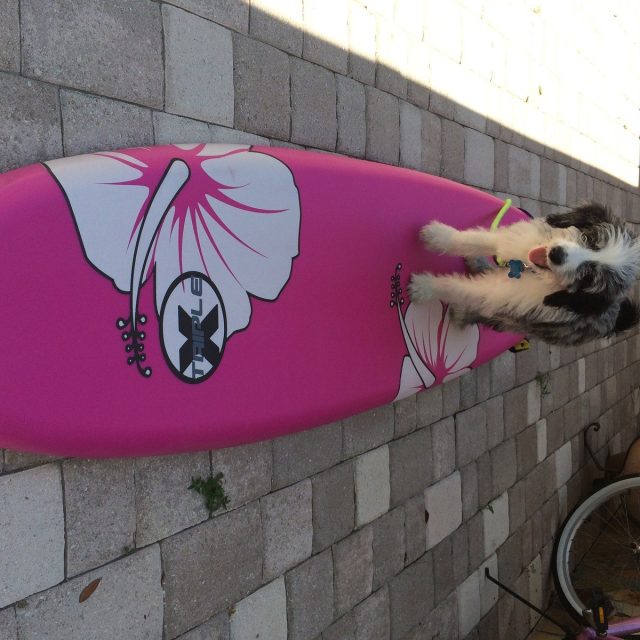 Hang Ten Nike !