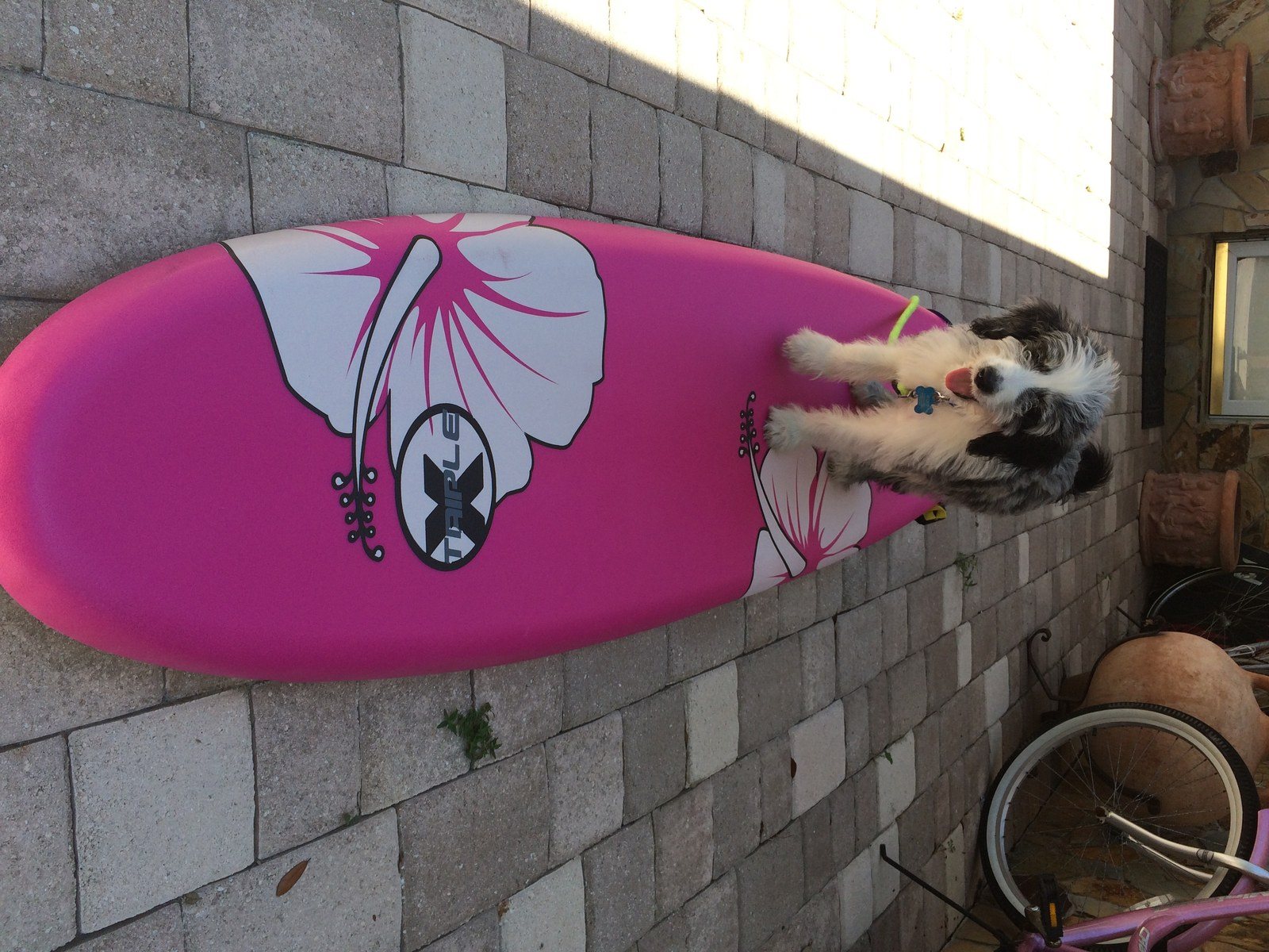 Hang Ten Nike !