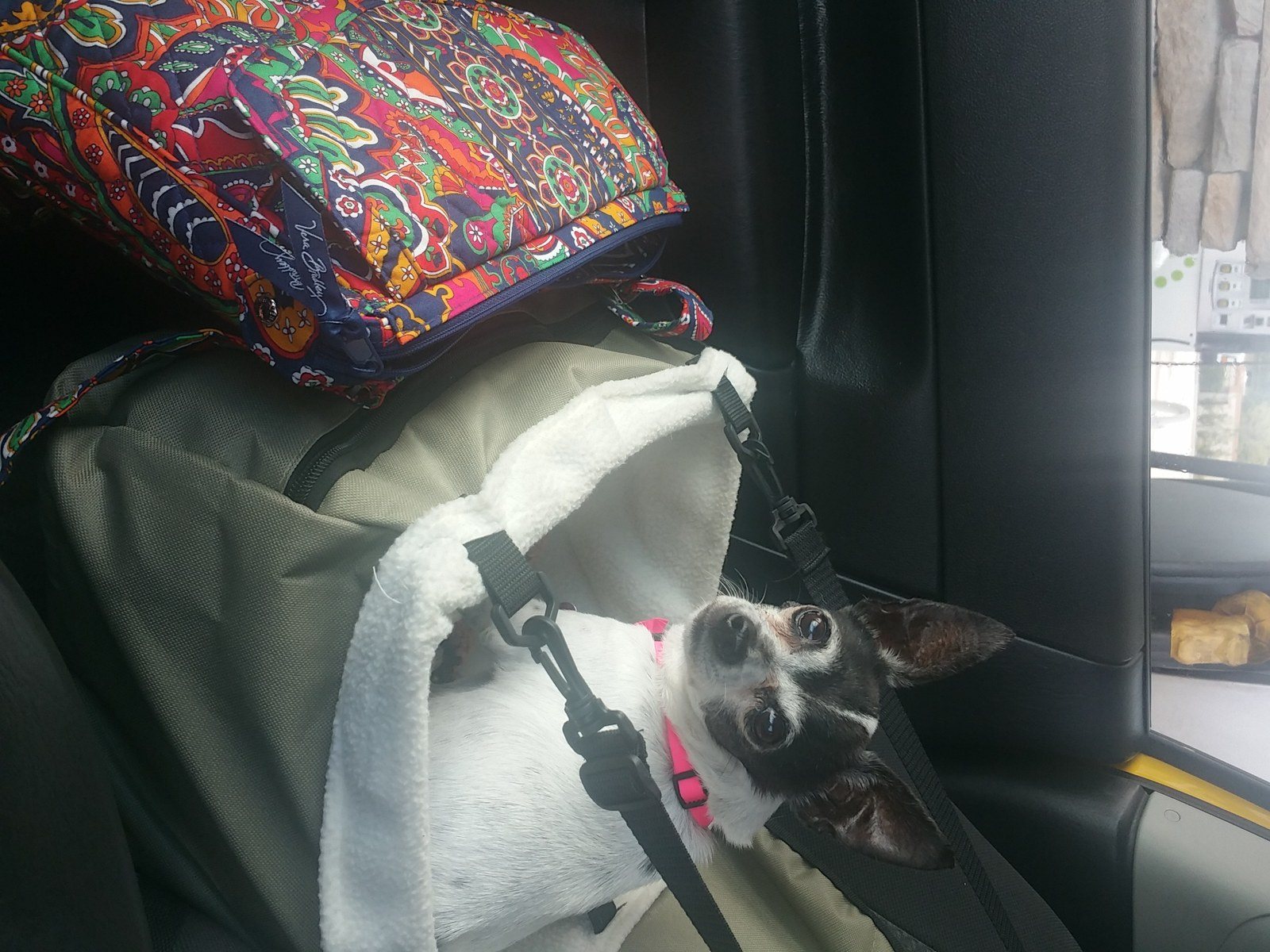 Celeste On The Go