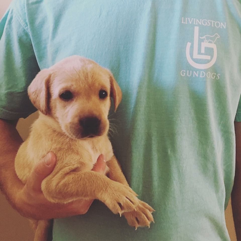 That Face, Though.