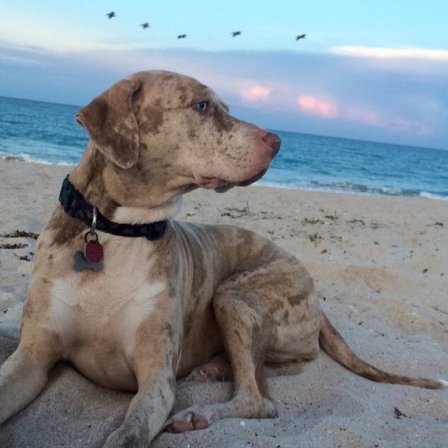 Blissful Sunset