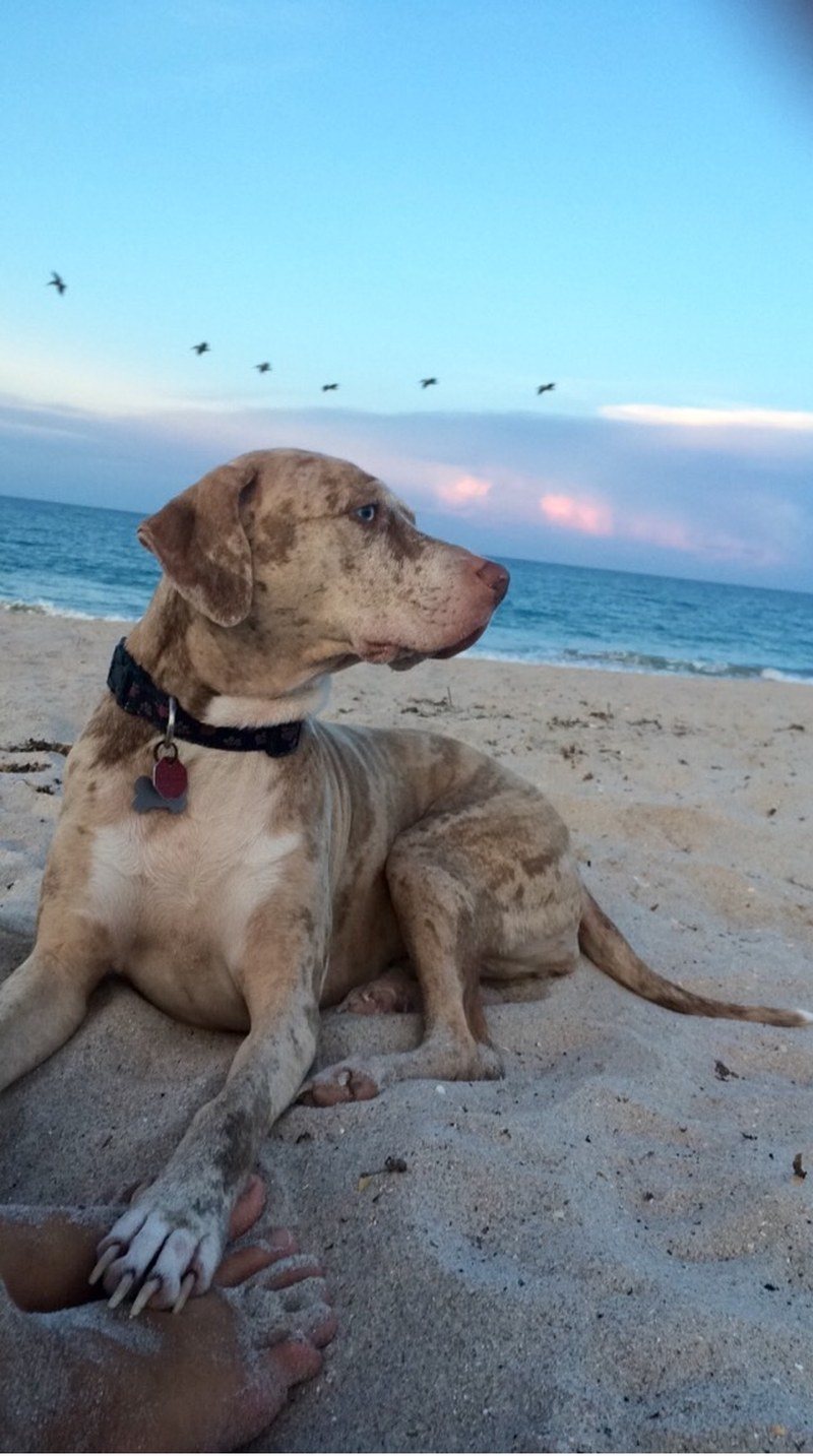 Blissful Sunset