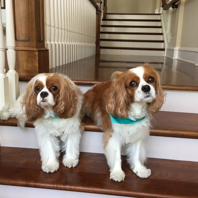 Farrell And Megan Waiting For There Treat
