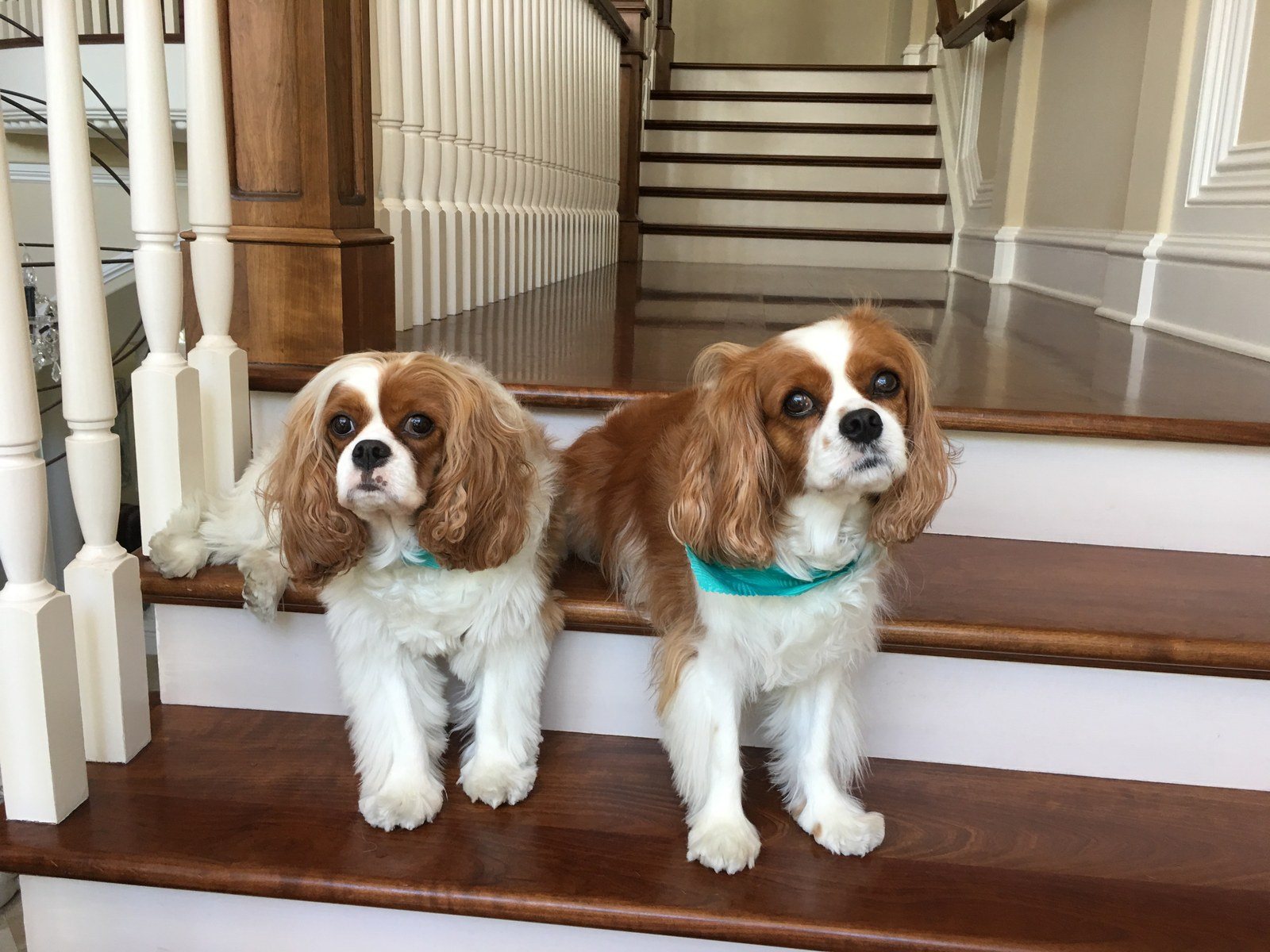 Farrell And Megan Waiting For There Treat
