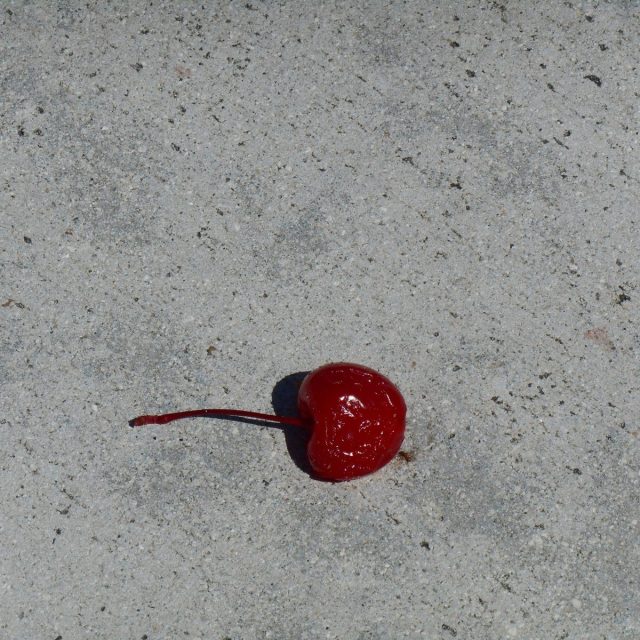 An Ant's Catch Of The Day At A Tiki Bar