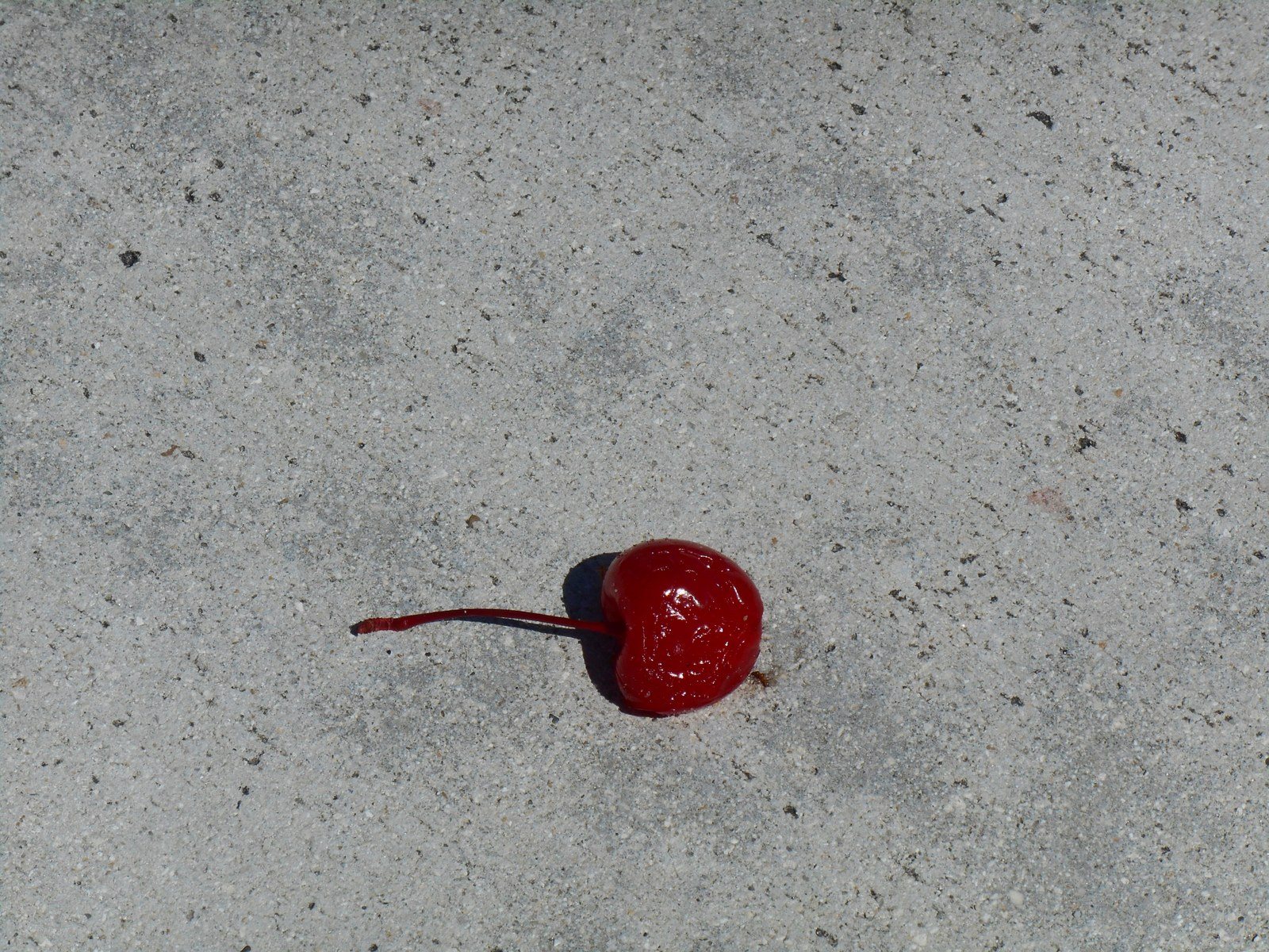 An Ant's Catch Of The Day At A Tiki Bar