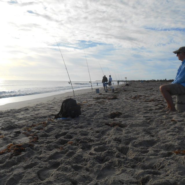 Waiting For The Best Catch