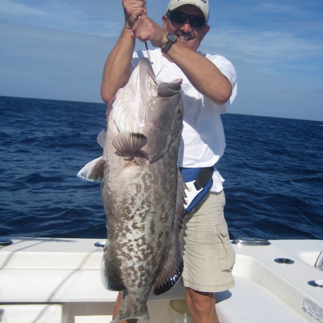 Just A Little Grouper
