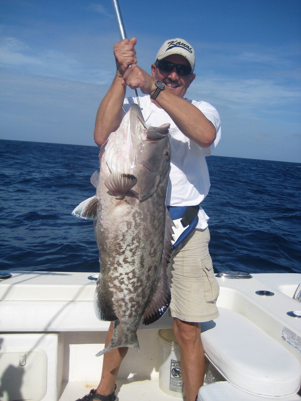 Just A Little Grouper