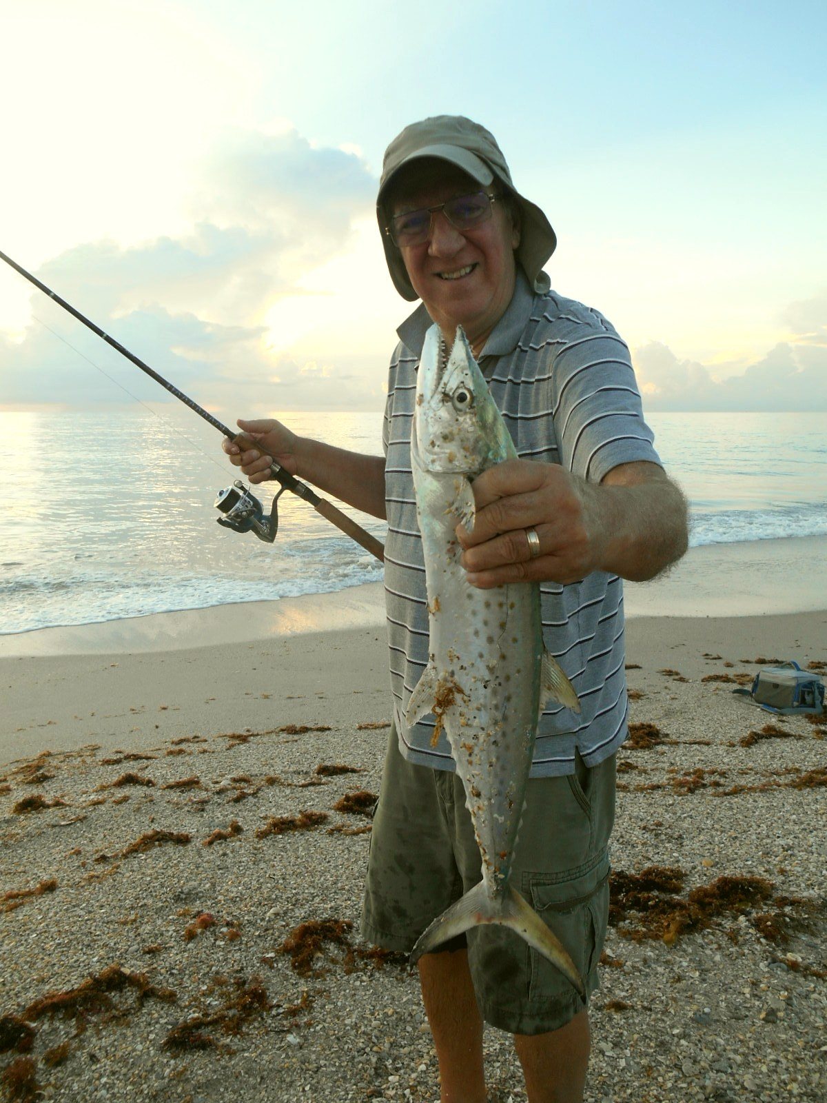 Holy Mackerel! It's A Mackerel!
