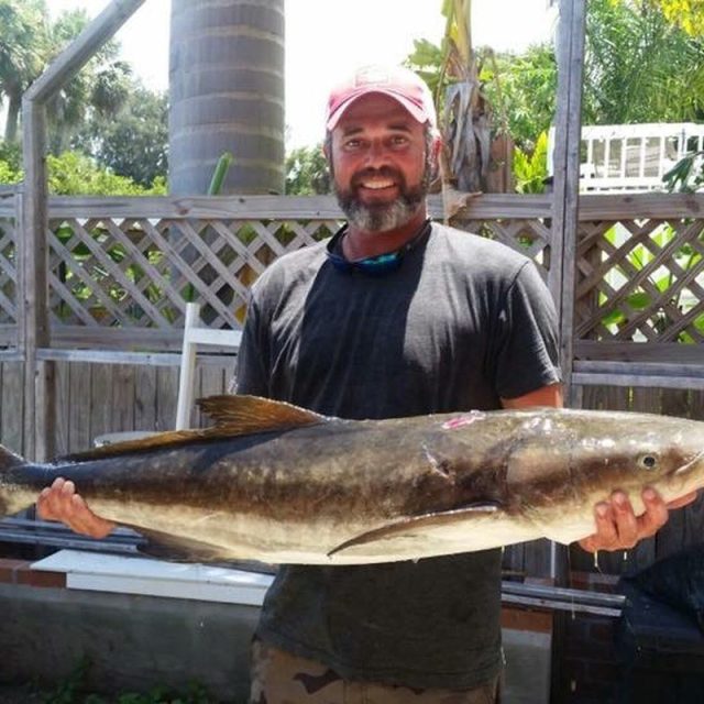 Cobia Grillin