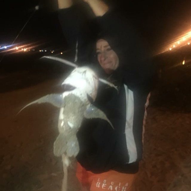 Sailcat