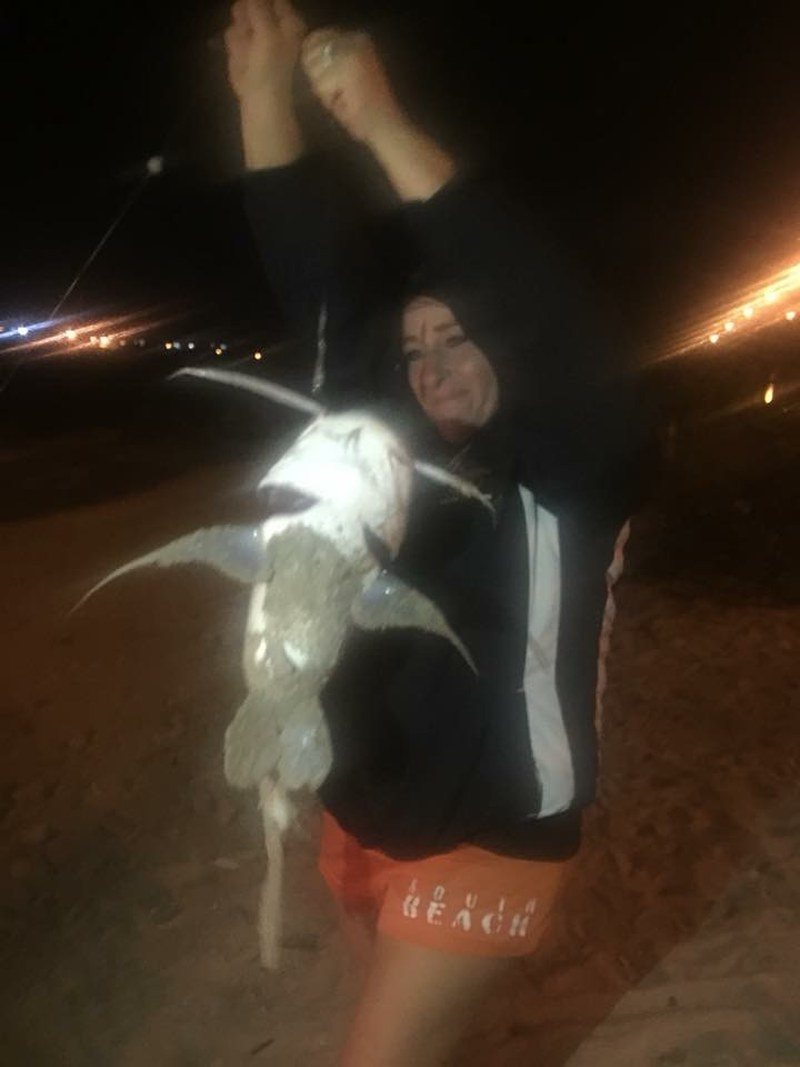 Sailcat