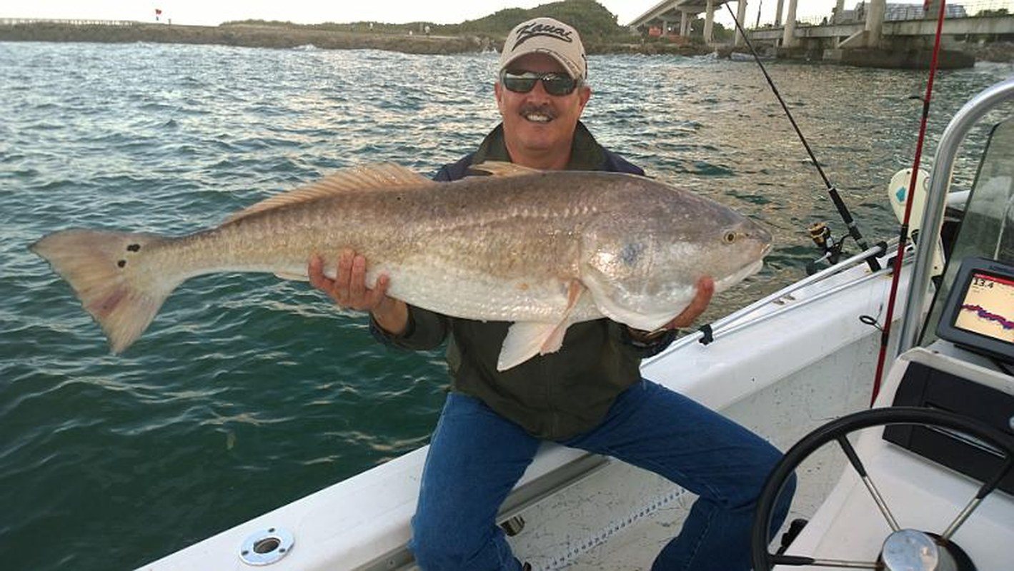 Little Red Fish